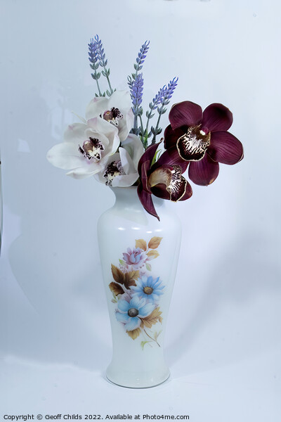  White and purple Cymbidium Orchids (Boat Orchids) Picture Board by Geoff Childs