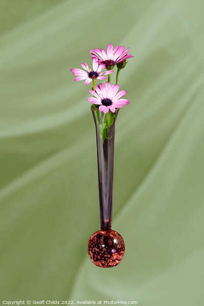 African Daisy flower in a vase isolated on light green. Picture Board by Geoff Childs
