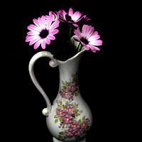 Buy canvas prints of African Daisy flower in a decorative vase isolated on black. by Geoff Childs