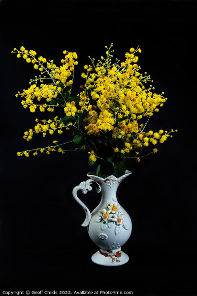 Wattle blossoms in a white ceramic vase on black. Picture Board by Geoff Childs