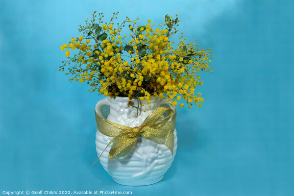 Wattle blossoms in a ceramic vase on blue. Picture Board by Geoff Childs
