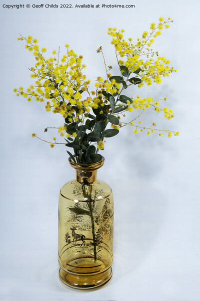 Wattle blossoms in a amber glass vase on white. Picture Board by Geoff Childs