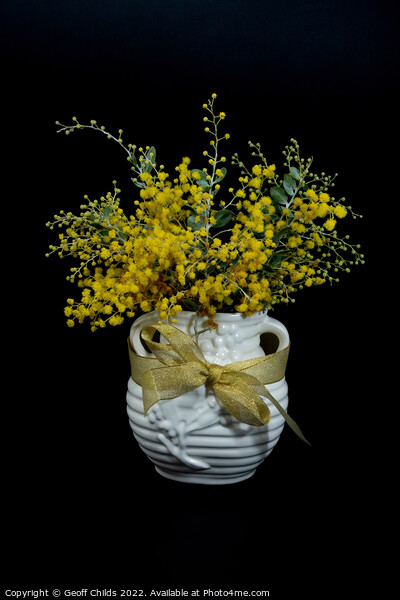 Wattle blossoms in a white ceramic vase on black. Picture Board by Geoff Childs