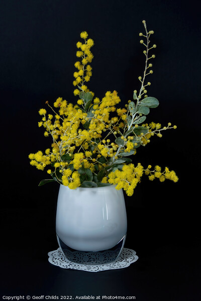 Wattle blossoms in a white glass vase on black. Wattle Day image Picture Board by Geoff Childs
