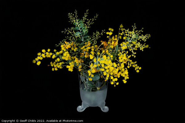 Wattle blossoms in a white and clear glass vase on black. Wattle Picture Board by Geoff Childs