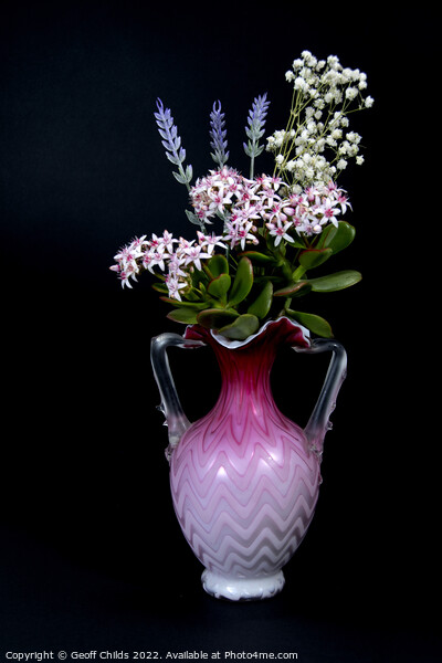 Lavender and Jade Plant in a vase isolated on blac Picture Board by Geoff Childs