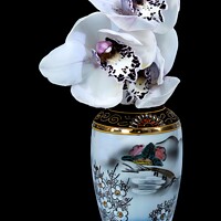 Buy canvas prints of  White Cymbidium Orchids in a vase on black. by Geoff Childs