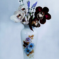 Buy canvas prints of  White and purple Cymbidium Orchids in a vase.  by Geoff Childs