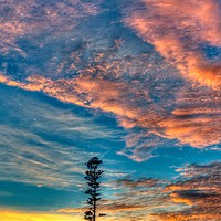Buy canvas prints of Lone Pine orange sunrise cloud. by Geoff Childs
