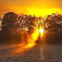 Buy canvas prints of Misty Sunrise Through Trees.  by Geoff Childs