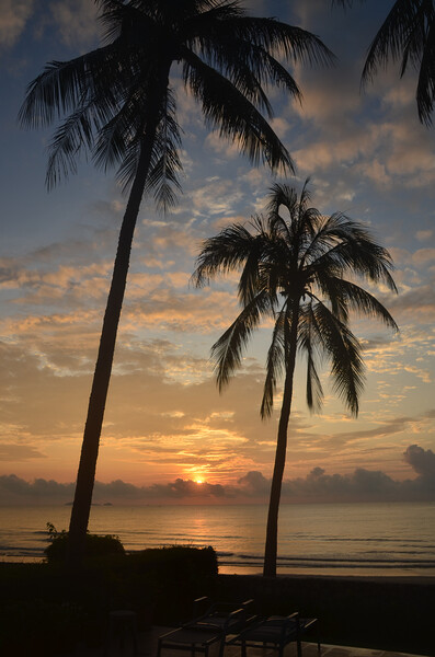 Tropical sunrise seascape with Palm trees at Huay Yang , Thailand. Picture Board by Geoff Childs