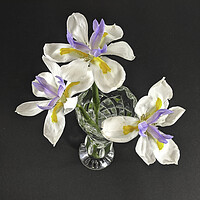 Buy canvas prints of Three isolated Wild Iris flowers closeup in a crystal glass vase.  by Geoff Childs