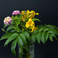 Buy canvas prints of Lantana and yellow Trumpet flowers. by Geoff Childs