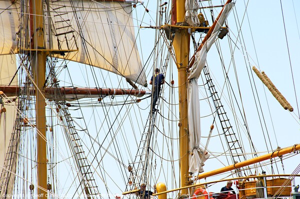  The Rigging tall ship Europa. Picture Board by Geoff Childs