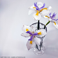 Buy canvas prints of Wild Iris in glass vase. by Geoff Childs