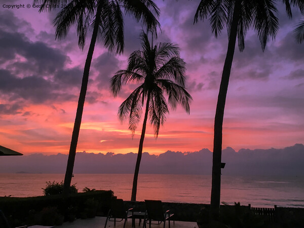 Tropical palm tree sunrise seascape. Thailand. Picture Board by Geoff Childs