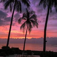 Buy canvas prints of Tropical palm tree sunrise seascape. Thailand. by Geoff Childs