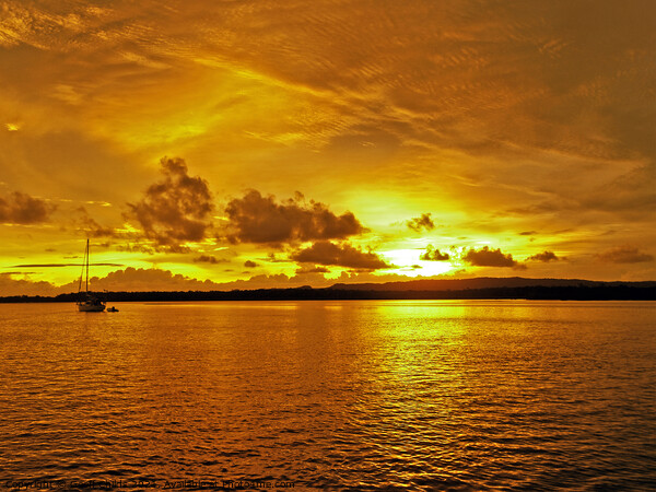 Golden coastal cloudy sunrise seascape. Picture Board by Geoff Childs