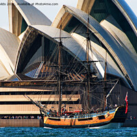 Buy canvas prints of Tall Ship Endeavour and Sydney Opera House. by Geoff Childs