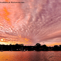 Buy canvas prints of Pink Panoramic Sunrise Seascape Australia by Geoff Childs