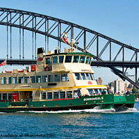 Buy canvas prints of The BORROWDALE  Ferry on Sydney Harbour.  by Geoff Childs