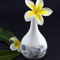 Buy canvas prints of Colourful Frangipani in decorative vase.  by Geoff Childs
