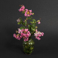 Buy canvas prints of  Pink Lantana Flowers in a Vase.  by Geoff Childs