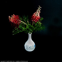 Buy canvas prints of  Pretty red Grevillea blooms in a Vase.  by Geoff Childs