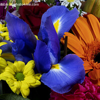 Buy canvas prints of Colourful bunch of mixed flowers. by Geoff Childs