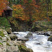 Buy canvas prints of The Hermitage, Dunkeld, Scotland by Bill Spiers