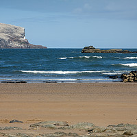 Buy canvas prints of The Bass Rock, Scotland by Bill Spiers