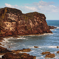 Buy canvas prints of St Abbs Head by Bill Spiers
