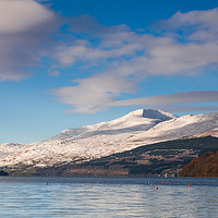 Buy canvas prints of Loch Tay towards Ben Lawers, Perthshire, Scotland by Bill Spiers