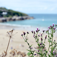 Buy canvas prints of Wild folwers of the seaside by Angela Bragato