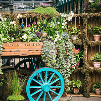 Buy canvas prints of Covent Garden famous flower cart in spring by Angela Bragato