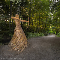 Buy canvas prints of The Huntress of Skipton Castle Woods. by Chris North