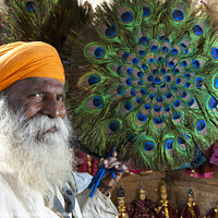 Buy canvas prints of Peacock fan Seller at Jaisalmer Fort, India. by Chris North