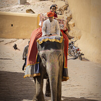 Buy canvas prints of Elephant taxi at the Amber Fort, Rajasthan, India. by Chris North