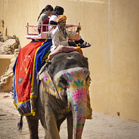 Buy canvas prints of Elephant at the Amber palace, Rajasthan, India. by Chris North