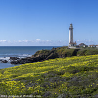 Buy canvas prints of Lighthouse California, USA. by Chris North