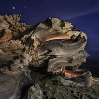 Buy canvas prints of Driftwood by Starlight. by Chris North