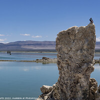Buy canvas prints of Lava pillow on mono lake. by Chris North