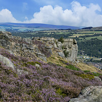 Buy canvas prints of Heather on Ilkley moor by Chris North