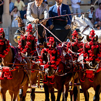 Buy canvas prints of Horse drawn carriage at Ronda Goya festival. by Chris North