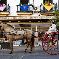 Buy canvas prints of Horse and buggy in Ronda Spain. by Chris North