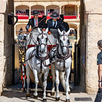 Buy canvas prints of Andalusian horse and carriage. by Chris North