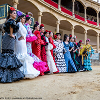 Buy canvas prints of Ronda ladies in traditional dress. by Chris North