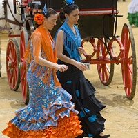 Buy canvas prints of Flamenco style. by Chris North