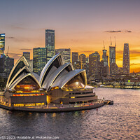 Buy canvas prints of Sydney Opera House by Chris North