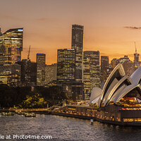 Buy canvas prints of Sunset over Sydney Opera House by Chris North